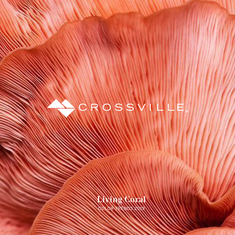 Color of the Year Lookbook Living Coral